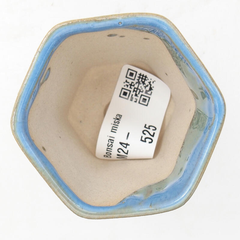 Mini bonsaischaal 5,5 x 5 x 5 cm, kleur blauw