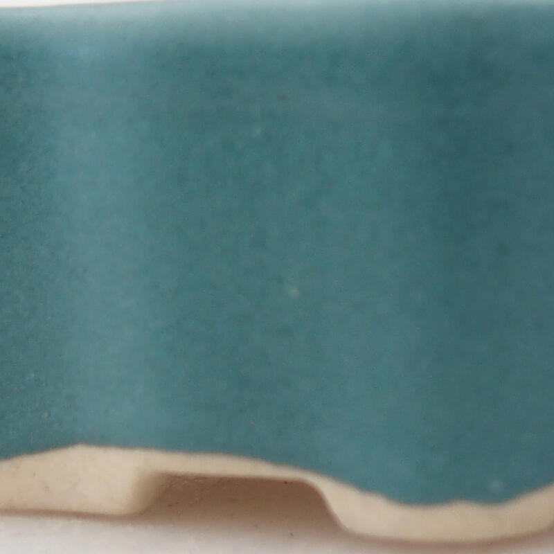 Mini bonsaischaal 5 x 3,5 x 2 cm, kleur blauw