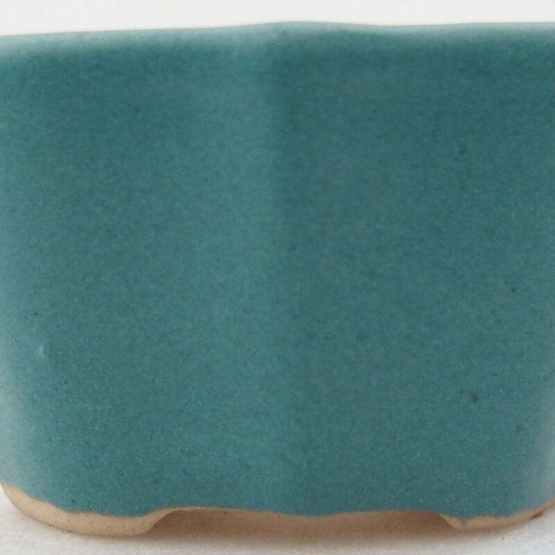 Mini bonsaischaal 5 x 3,5 x 3 cm, kleur blauw