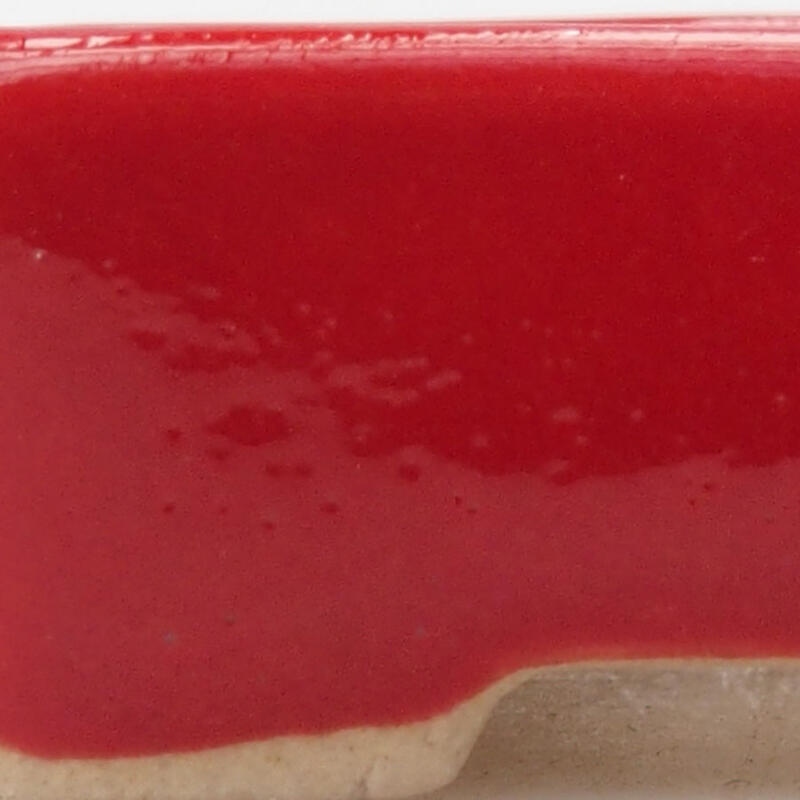 Mini bonsaischaal 5 x 3 x 1,5 cm, kleur rood