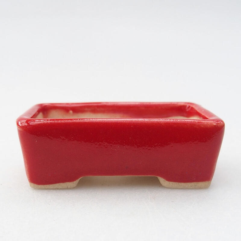 Mini bonsaischaal 5 x 3 x 1,5 cm, kleur rood