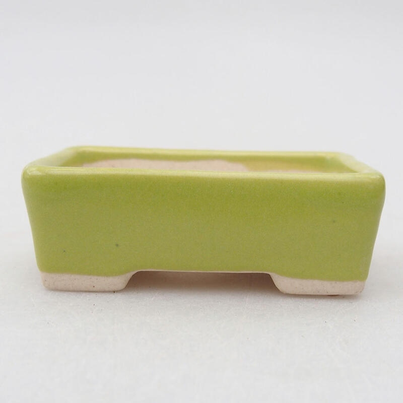 Mini bonsaischaal 5 x 3 x 1,5 cm, groen