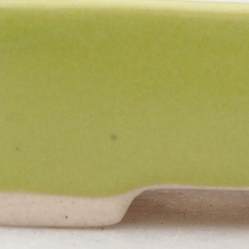 Mini bonsaischaal 5 x 3 x 1,5 cm, groen