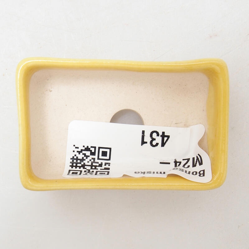 Mini bonsaischaal 5 x 3 x 2 cm, geel