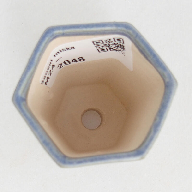 Mini bonsaischaal 5 x 4,5 x 6,5 cm, kleur blauw