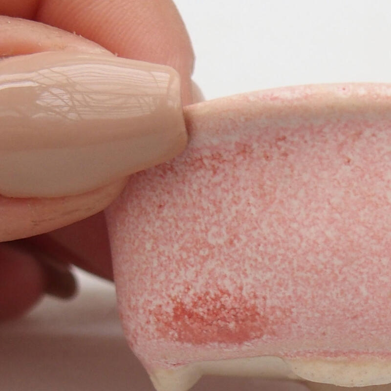 Mini bonsaischaal 5 x 4 x 2 cm, roze