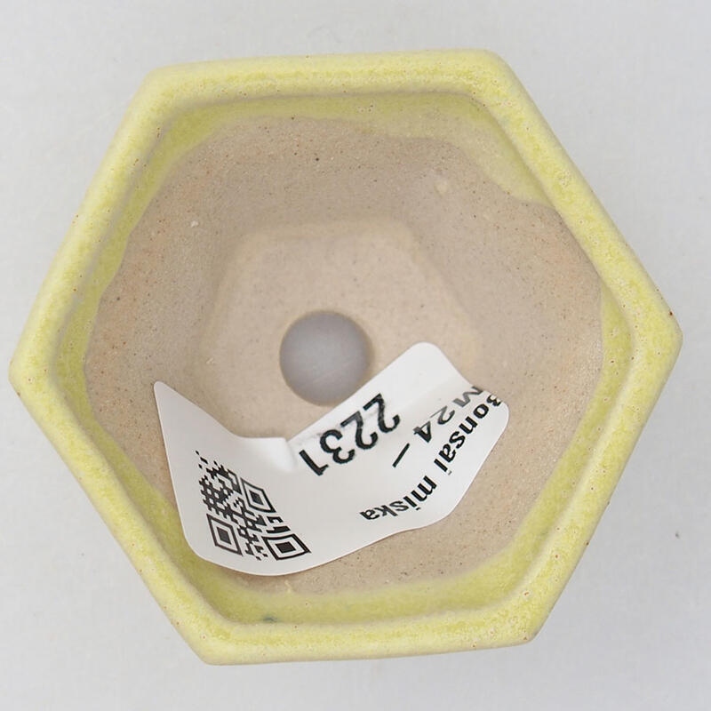 Mini bonsaischaal 5 x 5 x 2,5 cm, geel