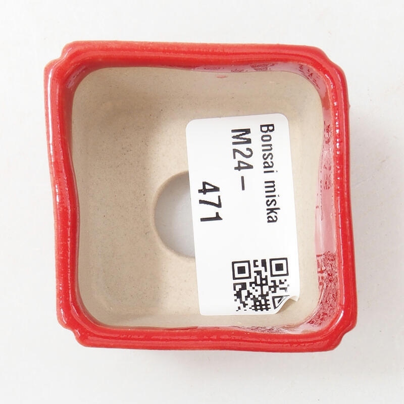 Mini bonsaischaal 5 x 5 x 3,5 cm, kleur rood