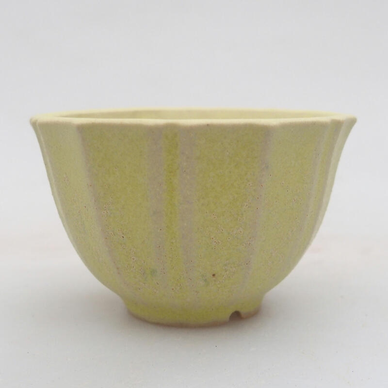 Mini bonsaischaal 5 x 5 x 3,5 cm, groen