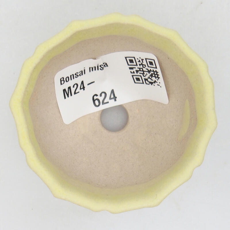 Mini bonsaischaal 5 x 5 x 3,5 cm, groen