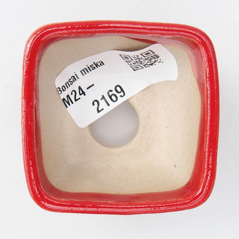 Mini bonsaischaal 5 x 5 x 3 cm, kleur rood
