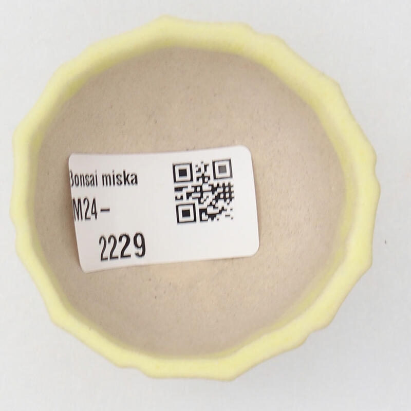 Mini bonsaischaal 5 x 5 x 3 cm, geel