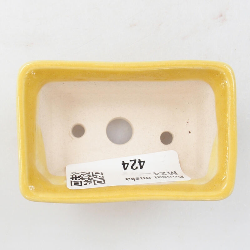 Mini bonsaischaal 6,5 x 4 x 2,5 cm, geel
