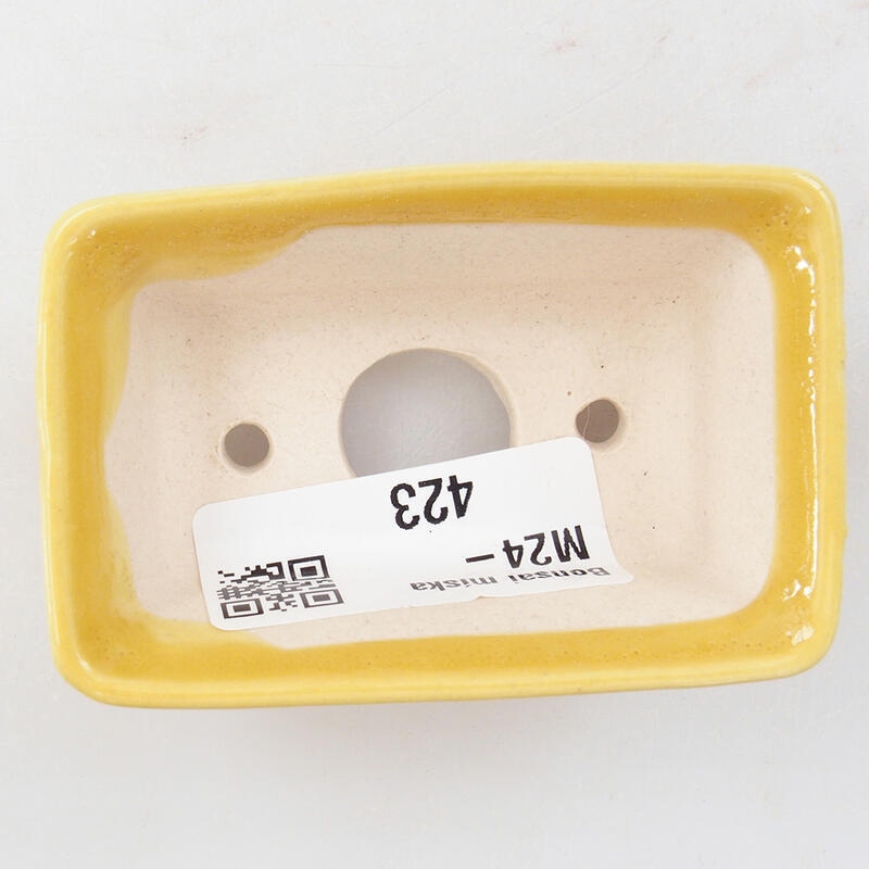 Mini bonsaischaal 6,5 x 4 x 2,5 cm, geel