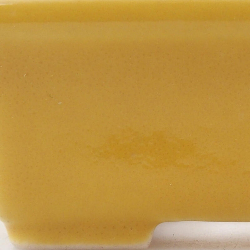 Mini bonsaischaal 6,5 x 4 x 2,5 cm, geel