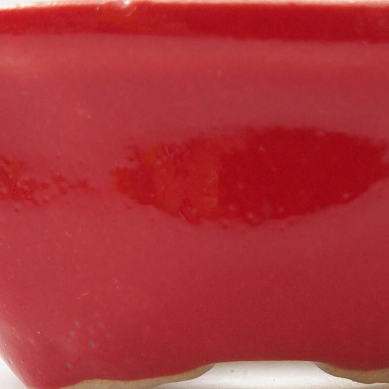 Mini bonsaischaal 6,5 x 6,5 x 2,5 cm, kleur rood
