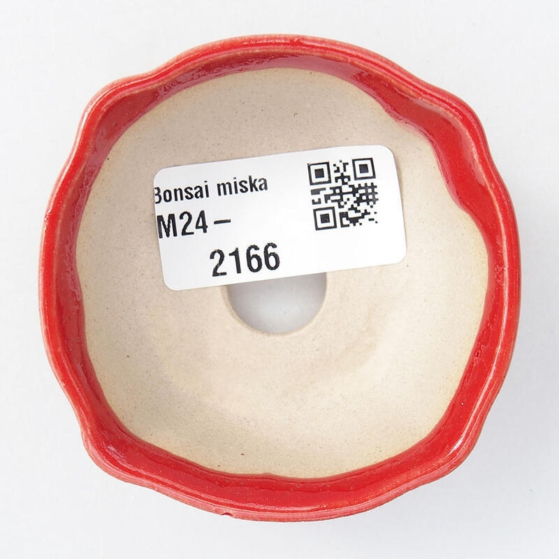 Mini bonsaischaal 6,5 x 6,5 x 2,5 cm, kleur rood