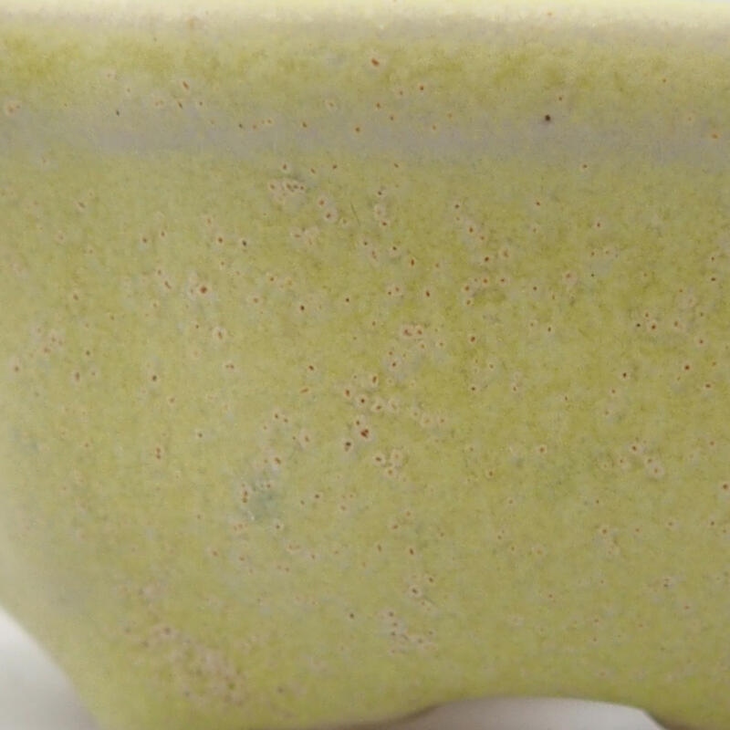 Mini bonsaischaal 6,5 x 6,5 x 2,5 cm, groen