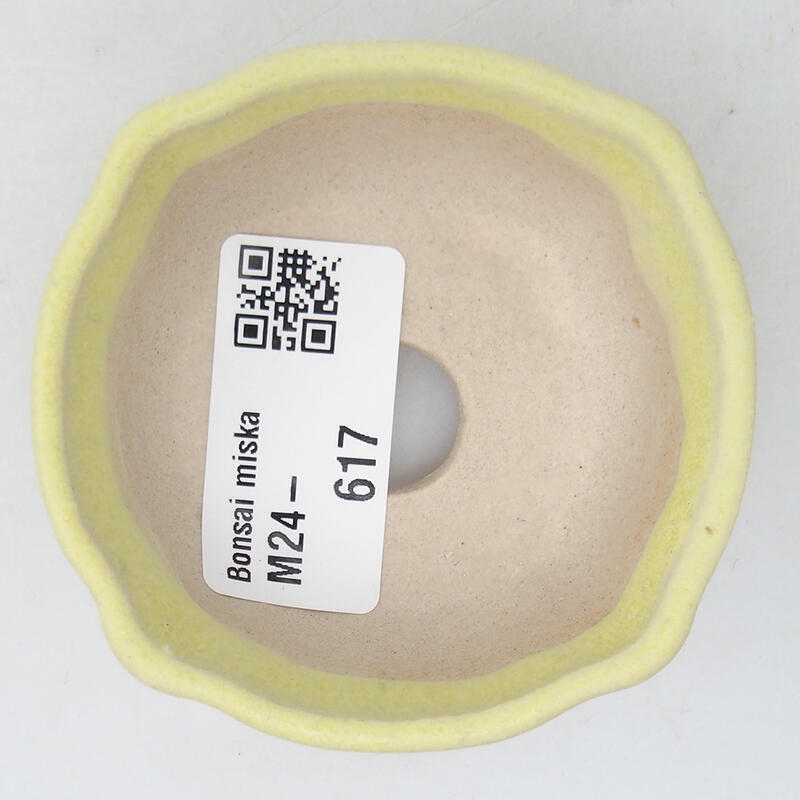 Mini bonsaischaal 6,5 x 6,5 x 2,5 cm, groen