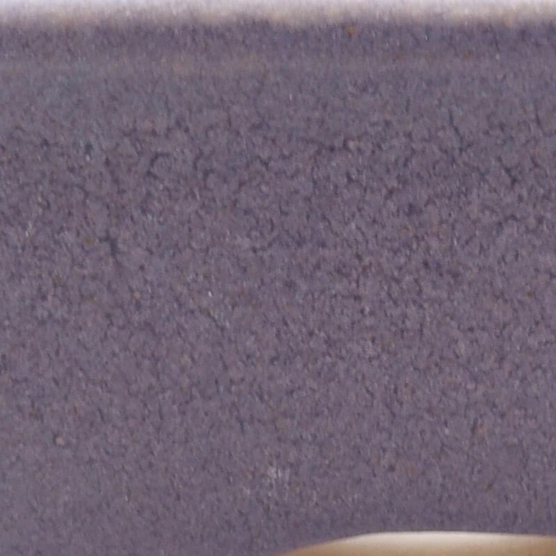 Mini bonsaischaal 6 x 4,5 x 2,5 cm, kleur paars