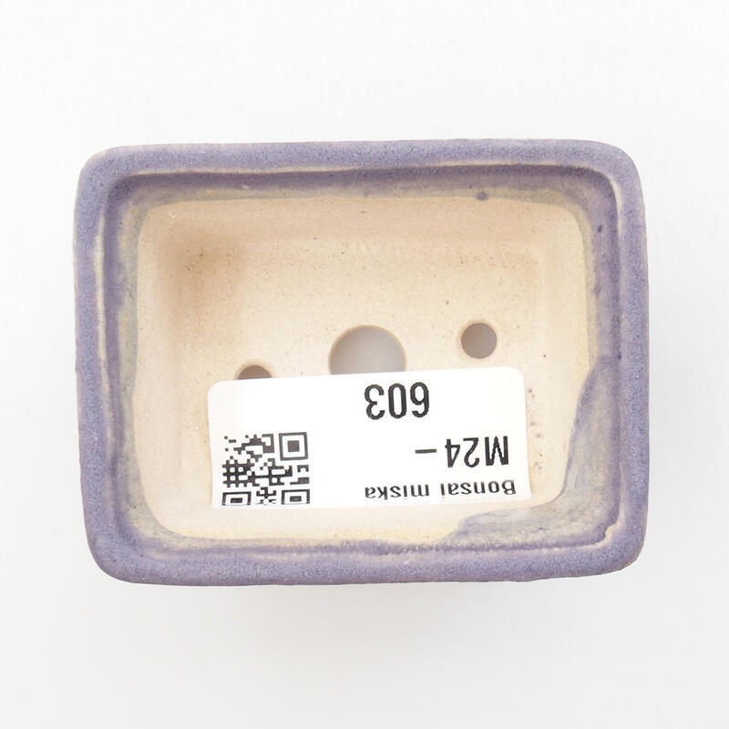 Mini bonsaischaal 6 x 4,5 x 2,5 cm, kleur paars