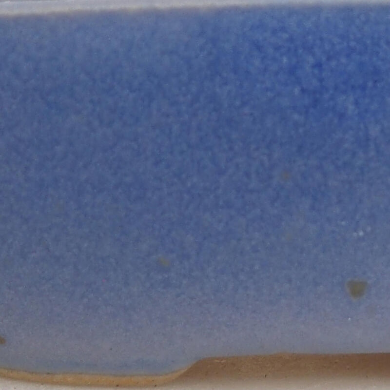 Mini bonsaischaal 6 x 4,5 x 2,5 cm, kleur blauw