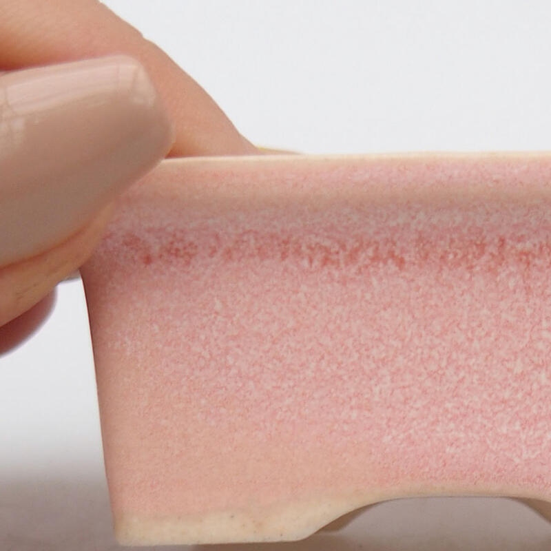 Mini bonsaischaal 6 x 4,5 x 2,5 cm, roze