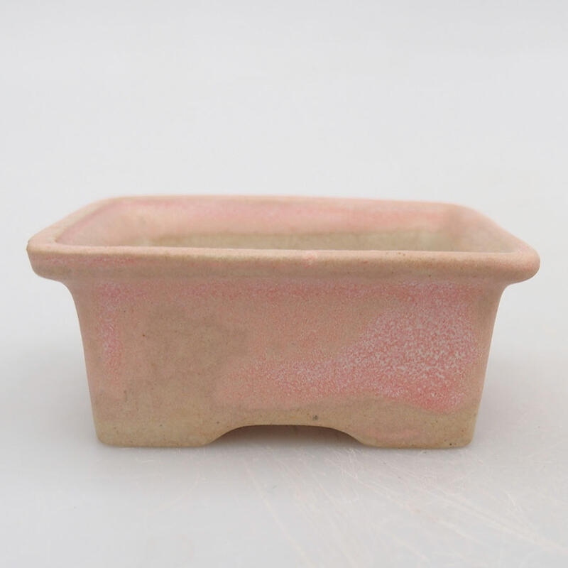 Mini bonsaischaal 6 x 4,5 x 2,5 cm, roze