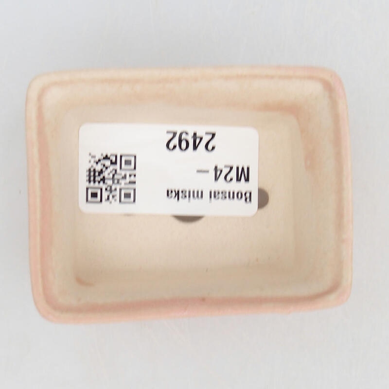 Mini bonsaischaal 6 x 4,5 x 2,5 cm, roze