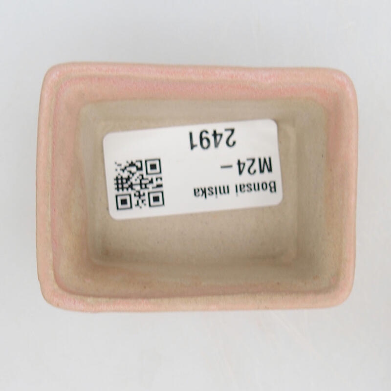 Mini bonsaischaal 6 x 4,5 x 2,5 cm, roze