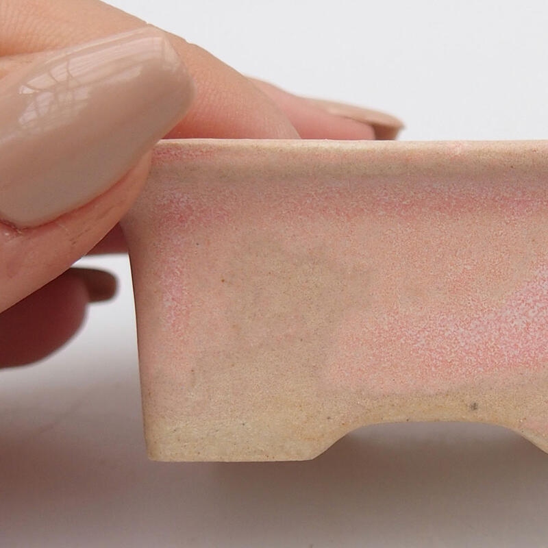 Mini bonsaischaal 6 x 4,5 x 2,5 cm, roze