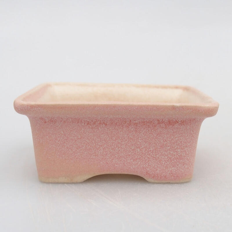 Mini bonsaischaal 6 x 4,5 x 2,5 cm, roze
