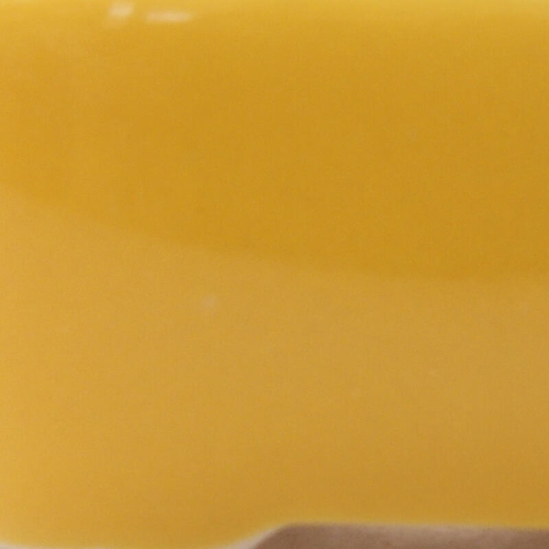 Mini bonsaischaal 6 x 4,5 x 2,5 cm, geel