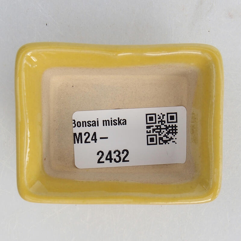 Mini bonsaischaal 6 x 4,5 x 2,5 cm, geel