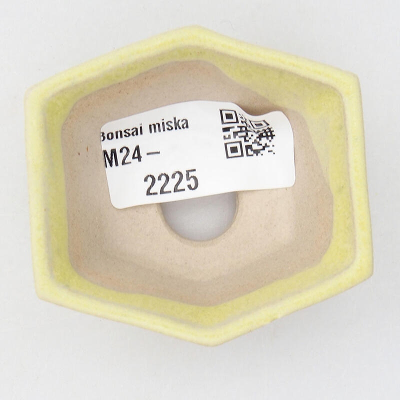 Mini bonsaischaal 6 x 5,5 x 2 cm, geel