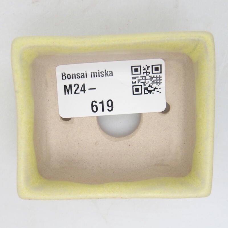 Mini bonsaischaal 6 x 5 x 2,5 cm, groen