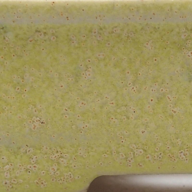 Mini bonsaischaal 6 x 5 x 2,5 cm, groen