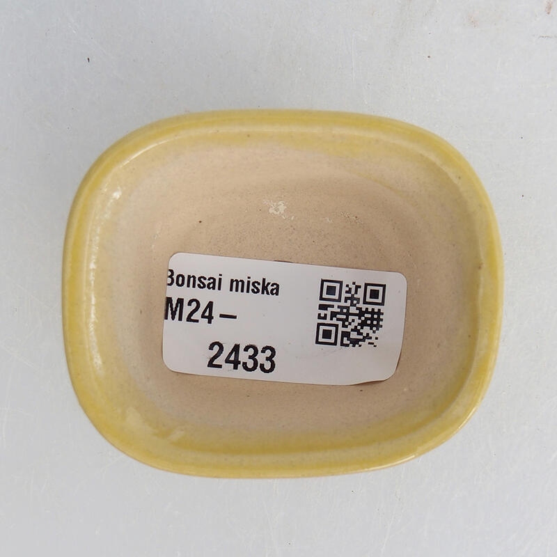 Mini bonsaischaal 6 x 5 x 3 cm, geel
