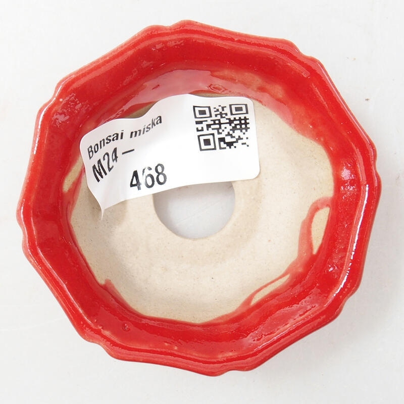 Mini bonsaischaal 6 x 6 x 2,5 cm, kleur rood