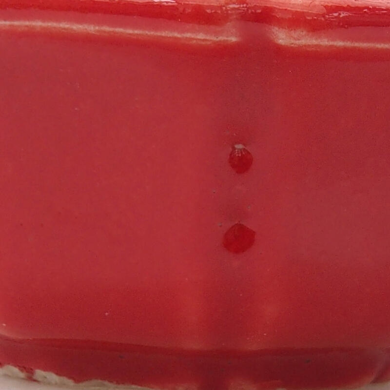 Mini bonsaischaal 6 x 6 x 2,5 cm, kleur rood