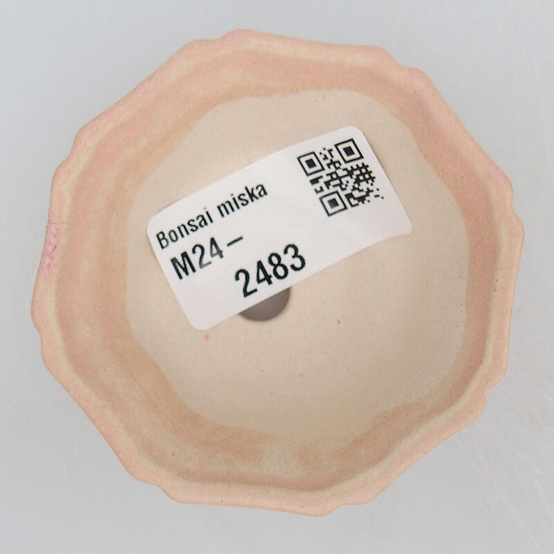Mini bonsaischaal 6 x 6 x 2,5 cm, roze