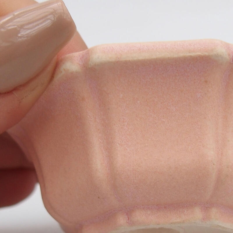 Mini bonsaischaal 6 x 6 x 2,5 cm, roze