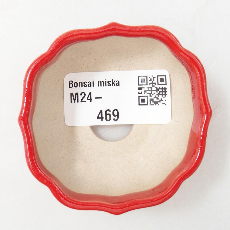 Mini bonsaischaal 6 x 6 x 3 cm, kleur rood