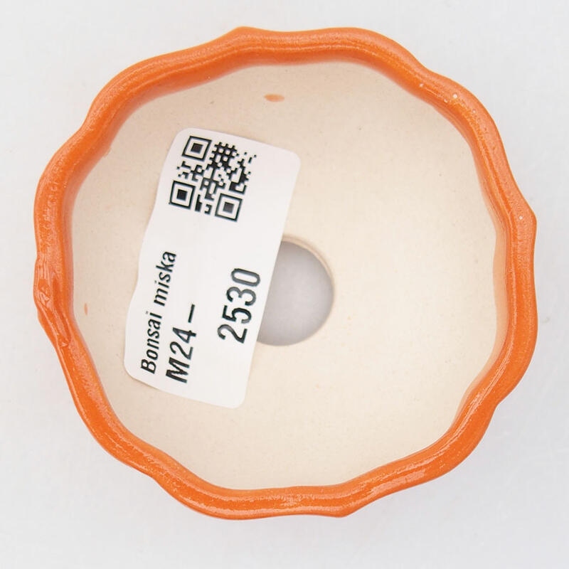 Mini bonsaischaal 6 x 6 x 3 cm, oranje