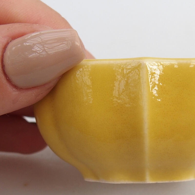 Mini bonsaischaal 6 x 6 x 3 cm, geel