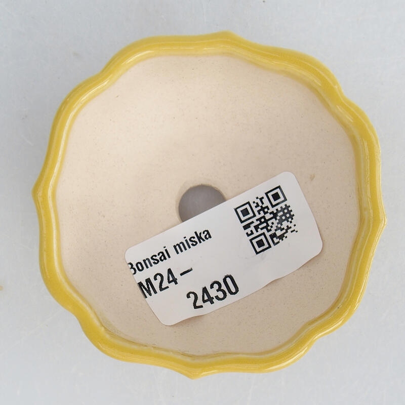 Mini bonsaischaal 6 x 6 x 3 cm, geel