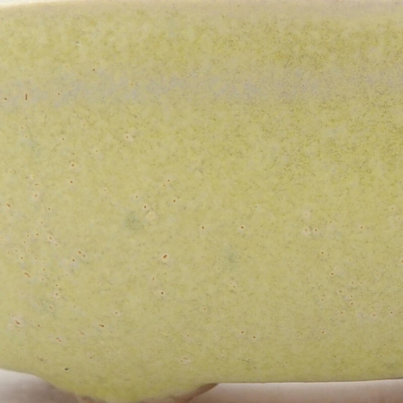 Mini bonsaischaal 7 x 5 x 2 cm, geel