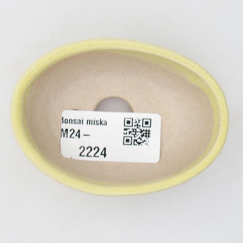 Mini bonsaischaal 7 x 5 x 2 cm, geel