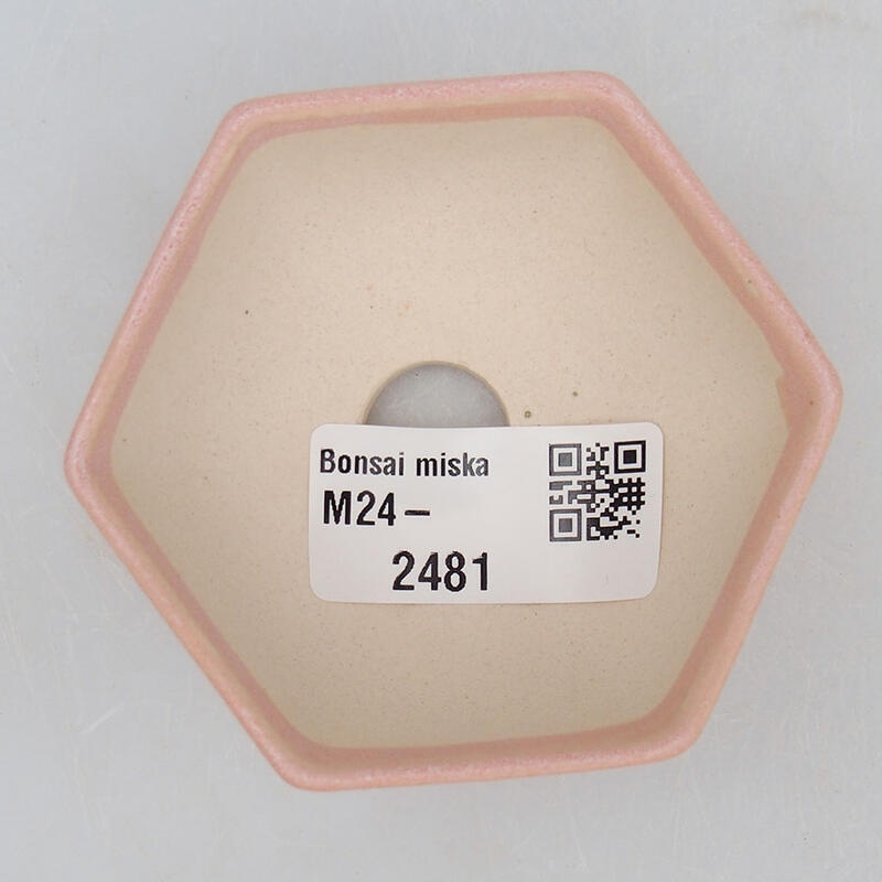 Mini bonsaischaal 7 x 6,5 x 3 cm, roze