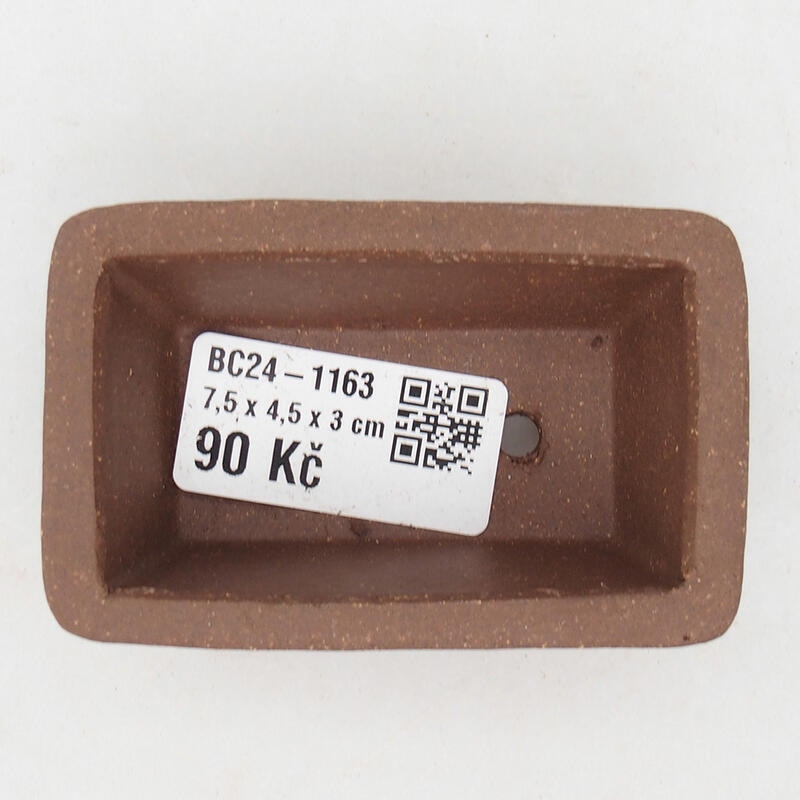 Mini bonsaischaal 8,5 x 5,5 x 2,5 cm, bruin